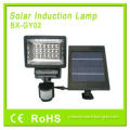 Solar Outdoor Lighting Solar Sensor Light